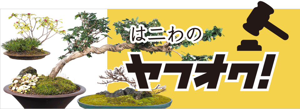 はニわのヤフオク！