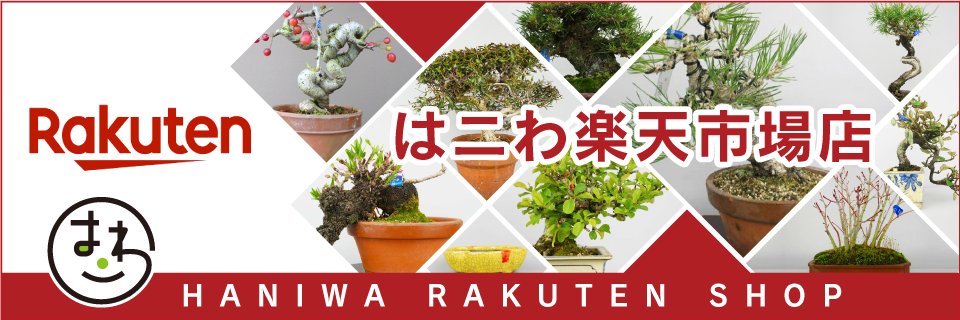 盆栽はニわ楽天ショップ
